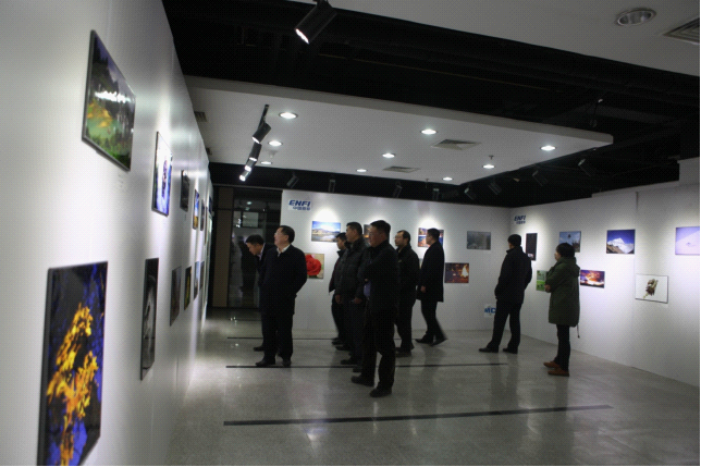 W020241121372718708674