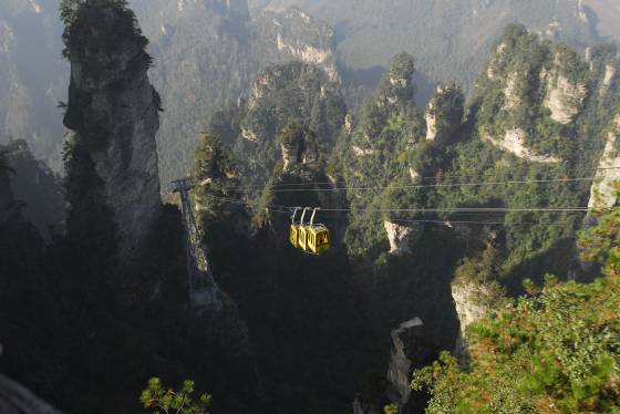 W020241119528339479505