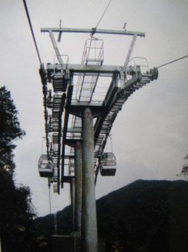 W020241119528341110228