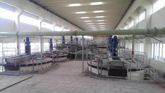 W020241119525546025702