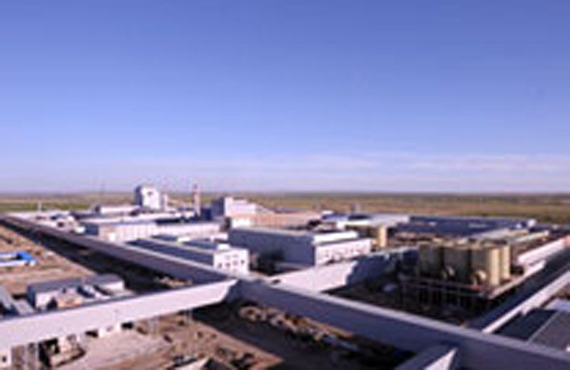 W020241119525559063291