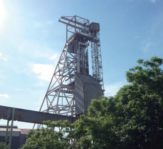 W020241119529308448749